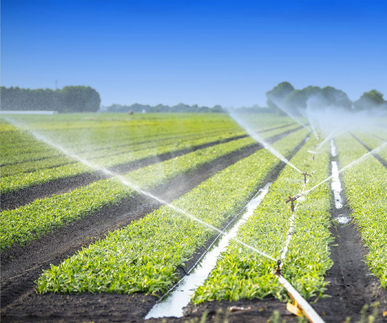 Perlindungan Kebakaran Pertanian