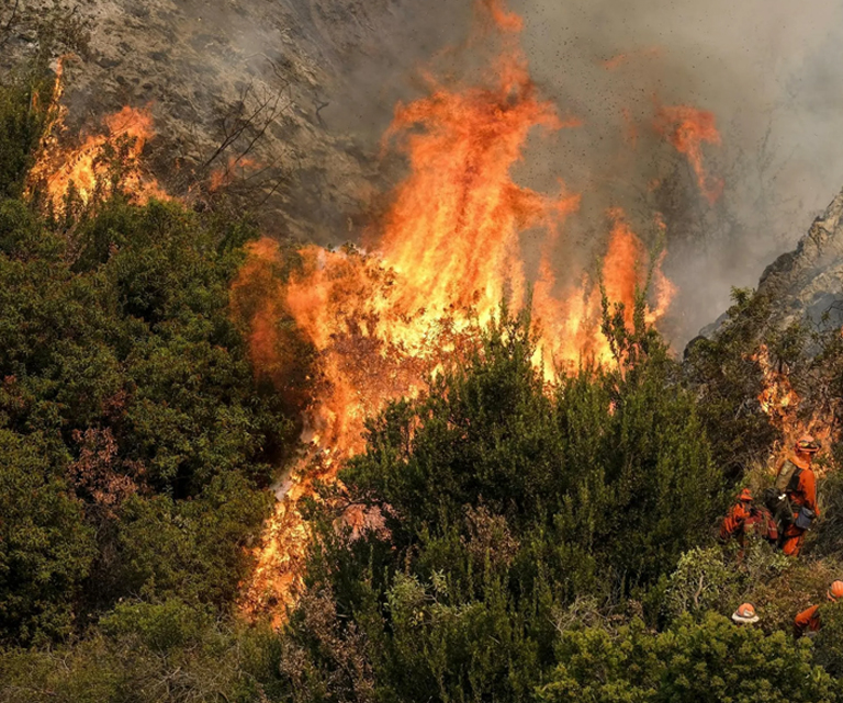Perlindungan Kebakaran Kehutanan
